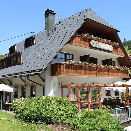 Hotel & Restaurant Gruner Baum - Die Grune Oase Am Feldberg Feldberg  Exteriér fotografie