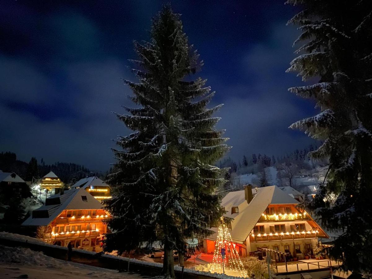 Hotel & Restaurant Gruener Baum - Die Gruene Oase Am Feldberg Feldberg  Exteriér fotografie