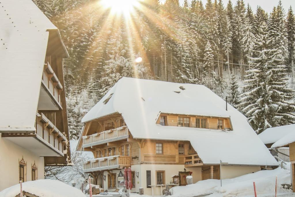 Hotel & Restaurant Gruner Baum - Die Grune Oase Am Feldberg Feldberg  Exteriér fotografie