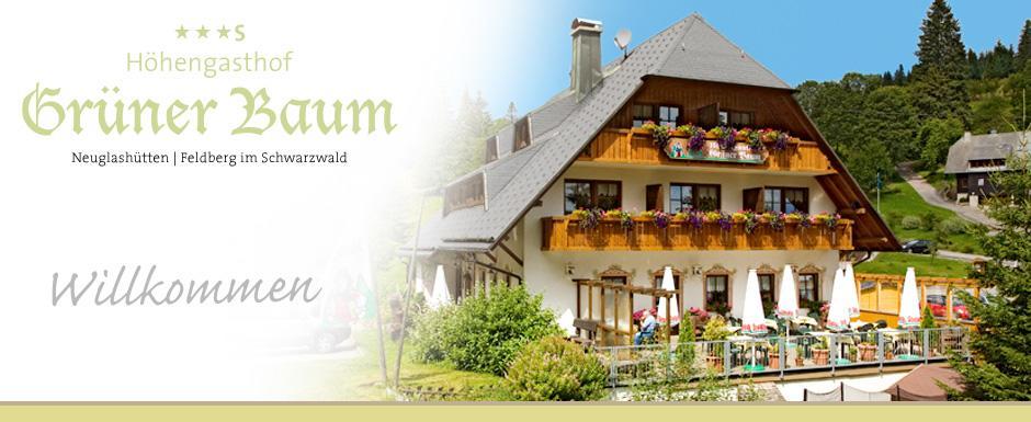 Hotel & Restaurant Gruener Baum - Die Gruene Oase Am Feldberg Feldberg  Exteriér fotografie