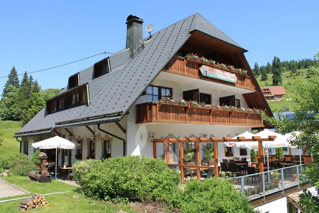 Hotel & Restaurant Gruner Baum - Die Grune Oase Am Feldberg Feldberg  Exteriér fotografie