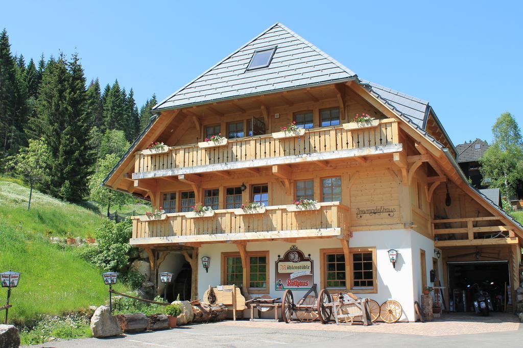 Hotel & Restaurant Gruner Baum - Die Grune Oase Am Feldberg Feldberg  Exteriér fotografie