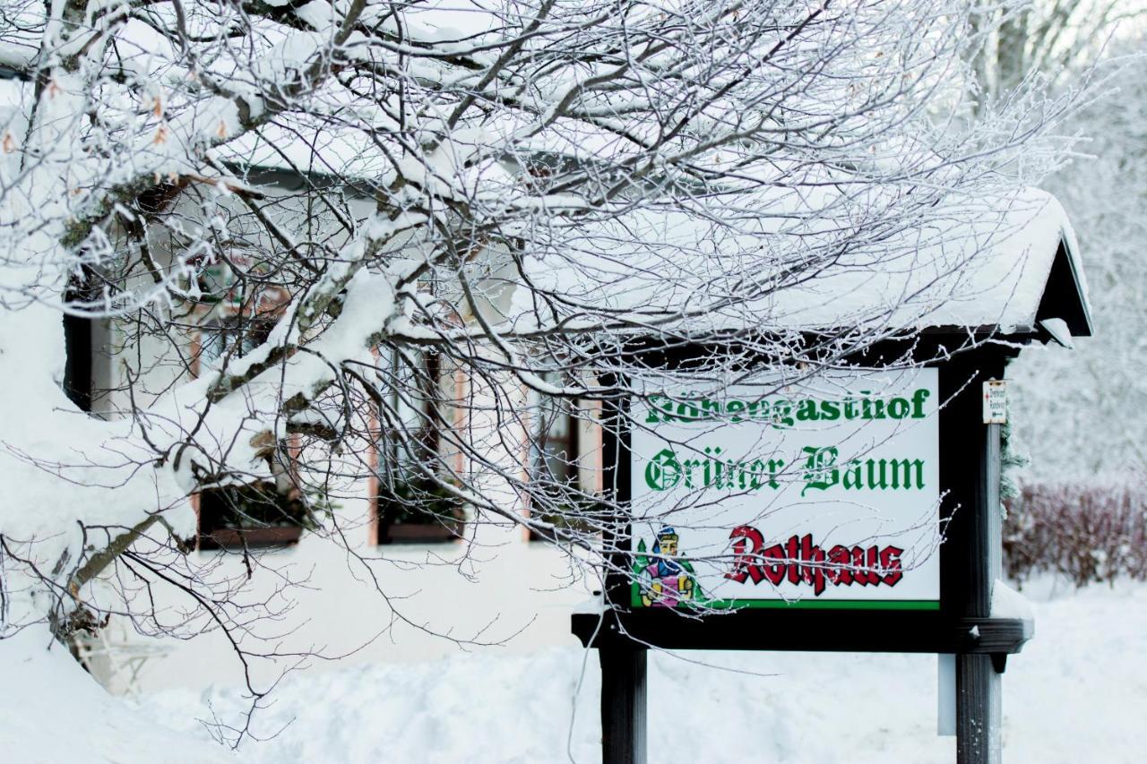 Hotel & Restaurant Gruner Baum - Die Grune Oase Am Feldberg Feldberg  Exteriér fotografie